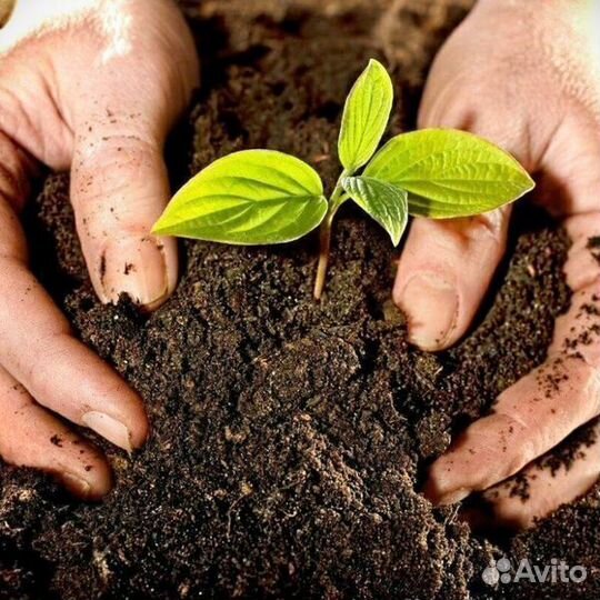 Грунт растительный