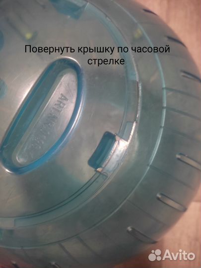 Прогулочный шар для грызунов