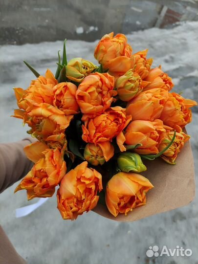 Тюльпаны. Букет тюльпанов с доставкой