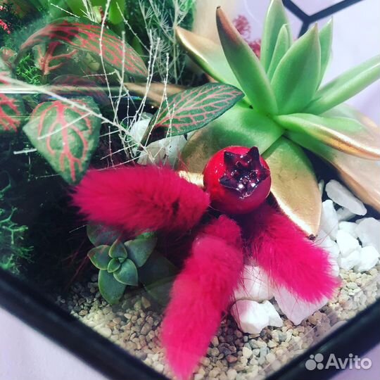 Флорариум с живыми цветами