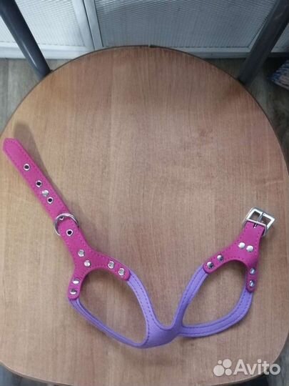 Шлейка для маленькой собаки