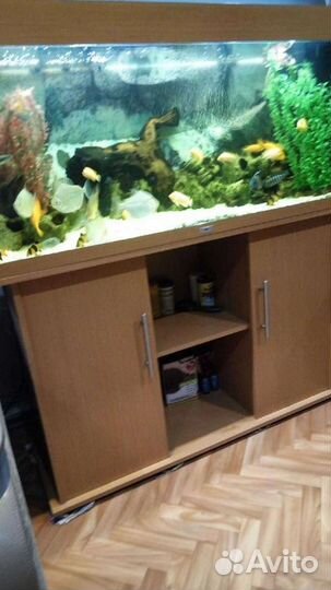 Аквариум