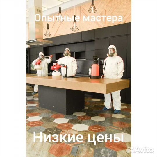 Избавление от тараканов,клопов и других насекомых