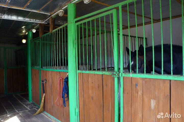 Постой для лошадей