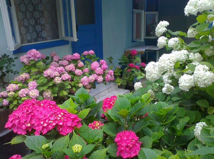 Комната 12 м² в 1-к., 1/1 эт.