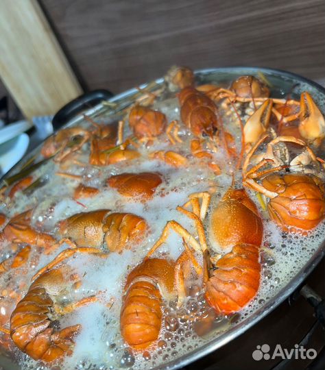 Живые раки розница Красногорск