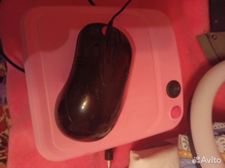 Клавиатура, мышка