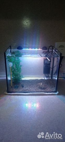 Аквариум с рыбками