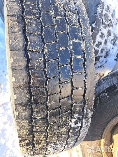 Белшина Бел-177 295/80