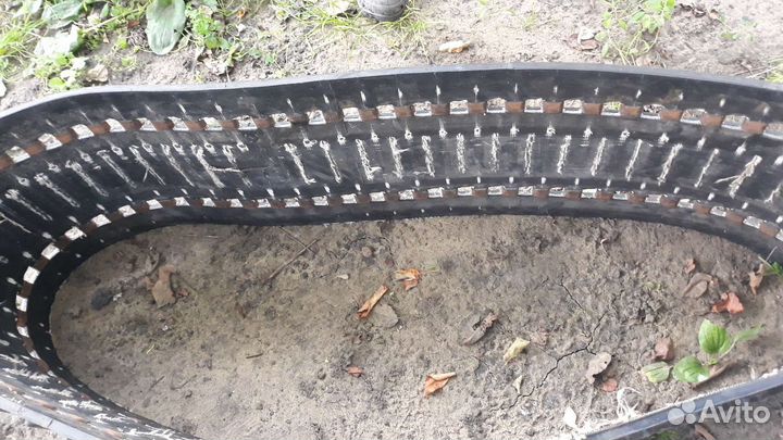 Бусеницы буран