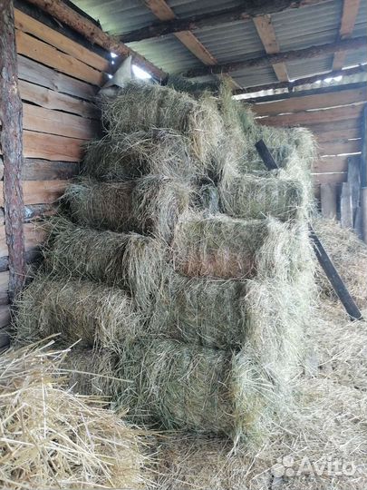 Сено в рулонах 2023