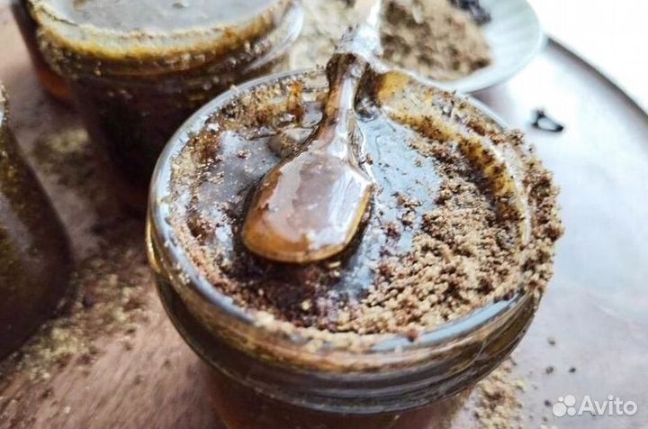 Пастагон паразитарный