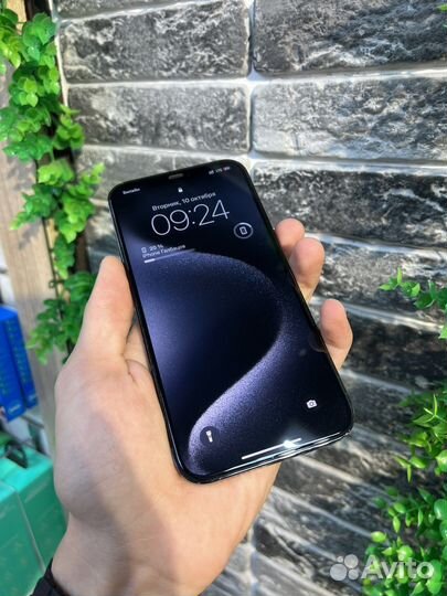 iPhone 12 Pro Max, 256 ГБ