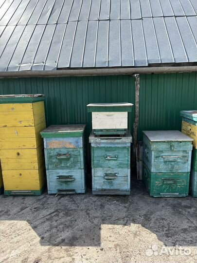 Ульи дадан 12 рамочные