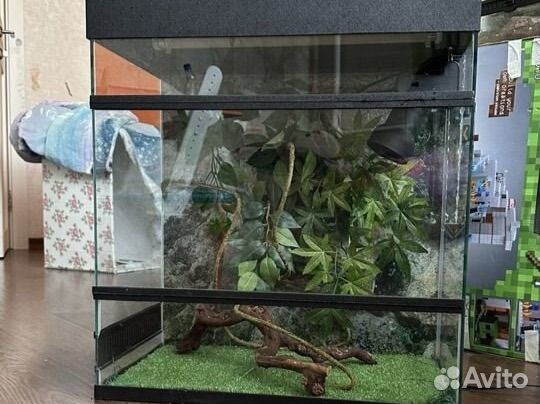 Террариум для рептилий