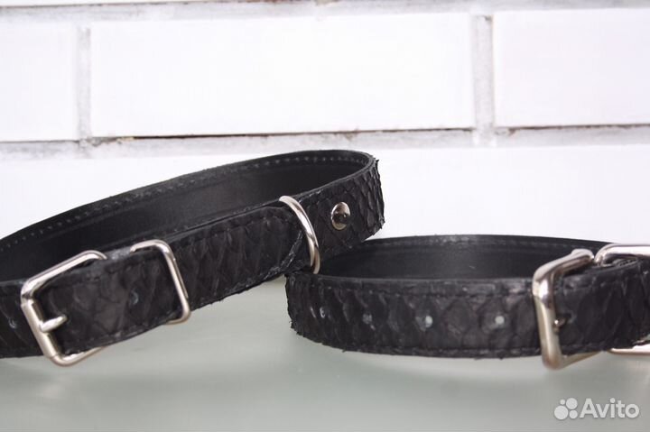 Ошейник из кожи питона для собак средних пород