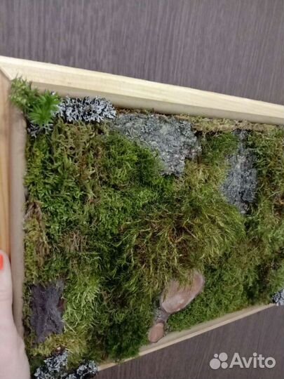 Панно из мха