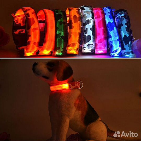 Товары для животных