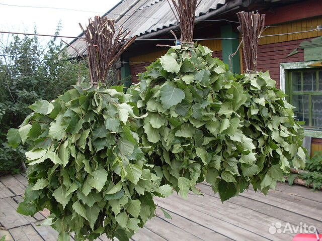 Продам веники для бани(берёза)