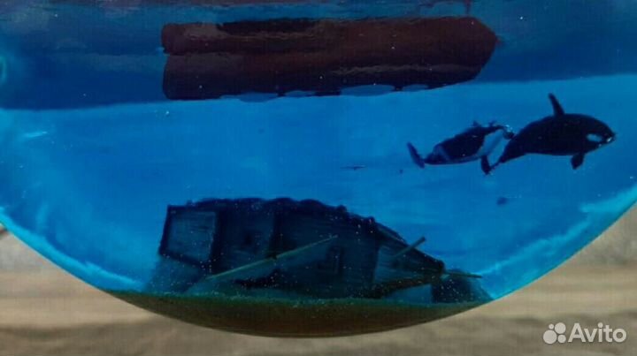 Корабль в бутылке