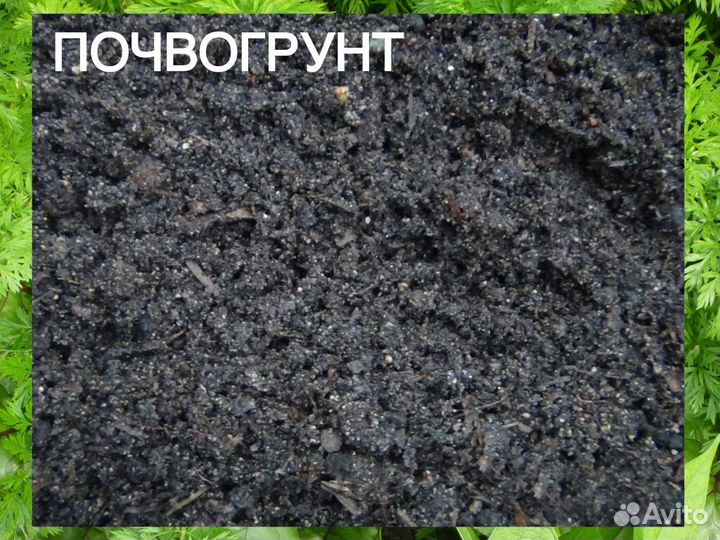Доставка грунта чернозем