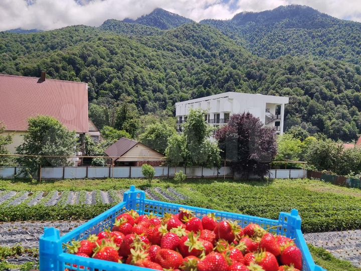 Участок 16 сот. (ИЖС)