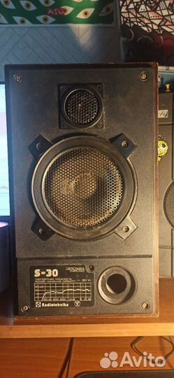 Колонки radiotehnika s 30