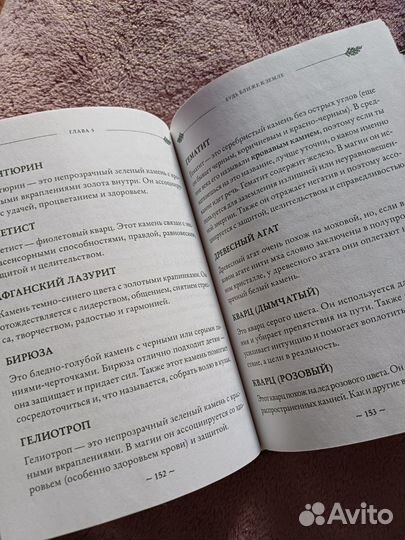 Green Witch, Эрин Мёрфи-Хискок. Бумажная книга