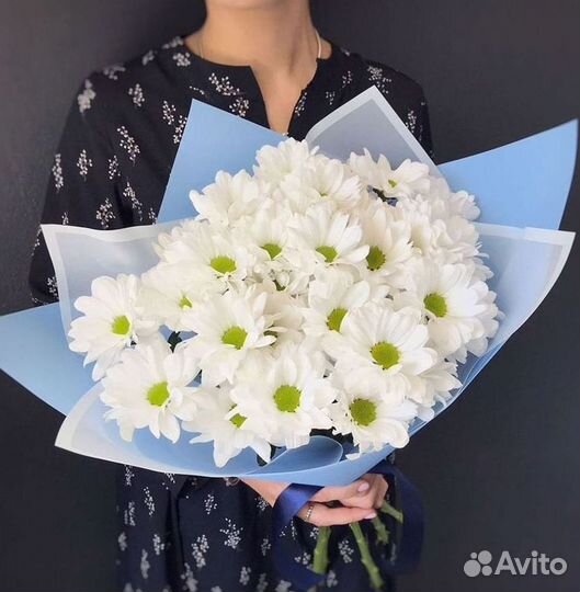 Хризантема Доставка цветов