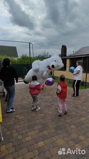 Поздравление от Белого Мишки и Панды