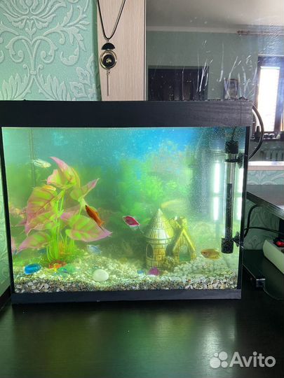 Аквариум