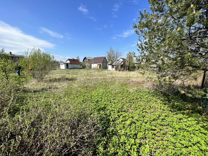 Участок 6 сот. (СНТ, ДНП)