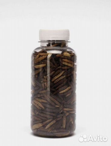 Лакомство для животных