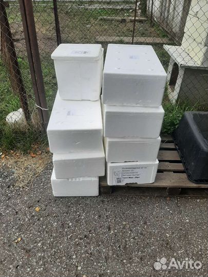 Термоконтейнер из пенопласта