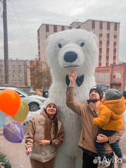 Белый мишка, поздравление, ростовая кукла