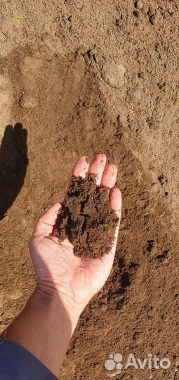 Полевой грунт