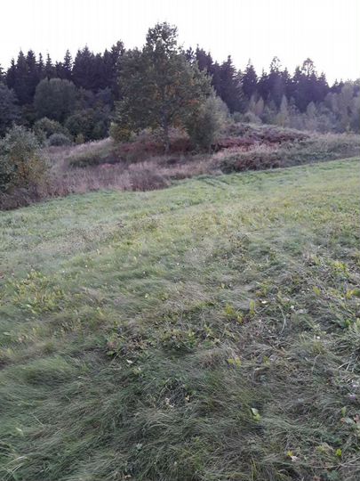 Участок 15 сот. (ИЖС)