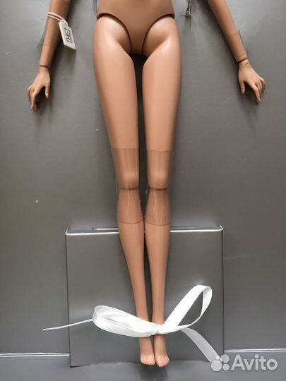 Fashion royalty Vanessa