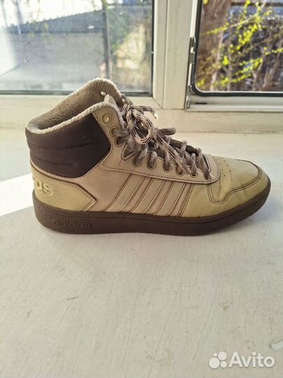 Adidas hoops 2.0 mid