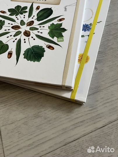 Листья деревьев, цветы и травы мой гербарий