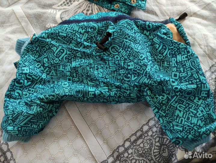 Утепленный дождевик на чихуа-хуа