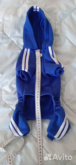 Одежда для собак