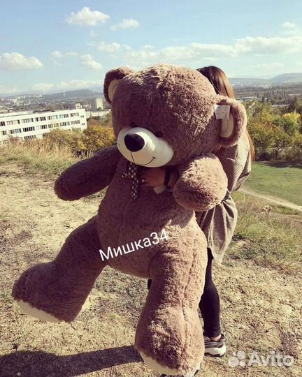 Большой мишка