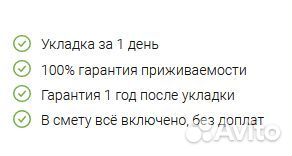 Рулонный газон. Газон под ключ