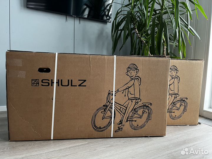 Велосипед детский Shulz Bubble 20 и 24 Race