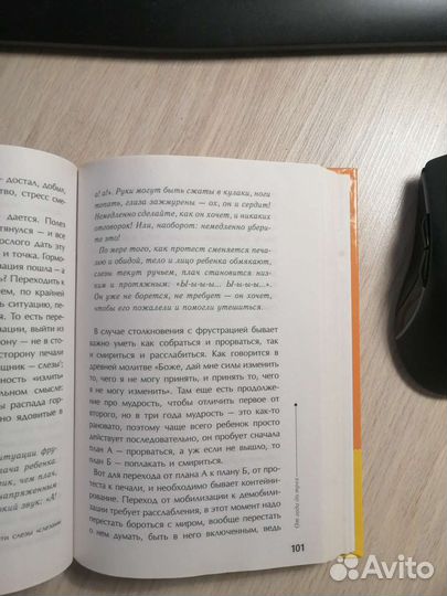 Людмила Петрановская.Тайная опора