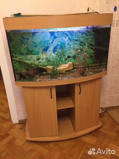 Аквариум 300 литров с тумбой