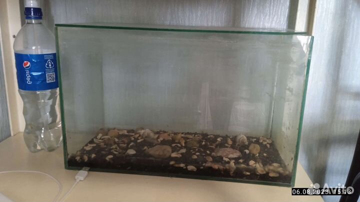 Аквариумные рыбки