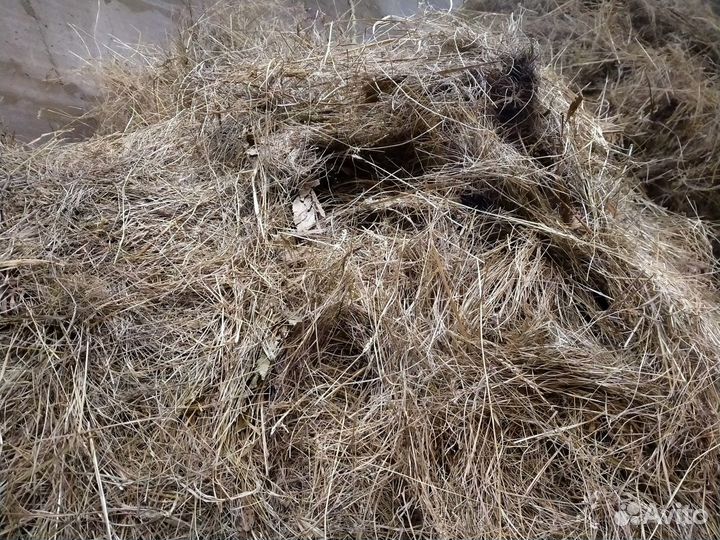 Солома и сено 2023г Новый урожай