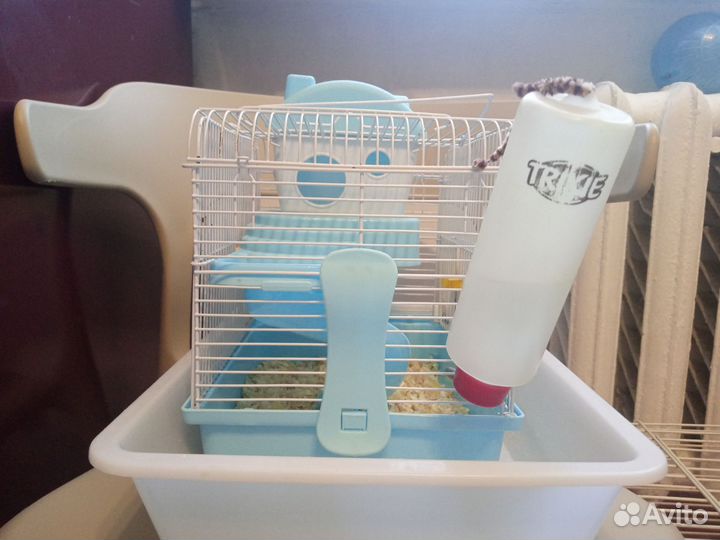 Клетка для хомяков джунгариков